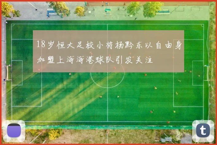 18岁恒大足校小将杨黔东以自由身加盟上海海港球队引发关注