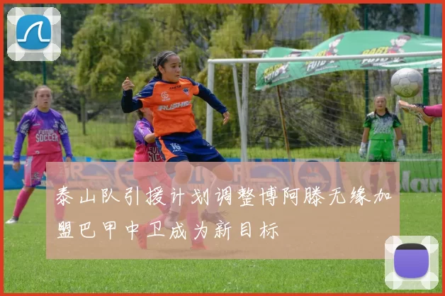 泰山队引援计划调整博阿滕无缘加盟巴甲中卫成为新目标